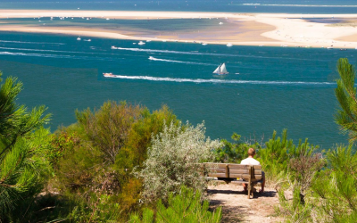 Dune du pilat, joyau de sable entre forêt et océan