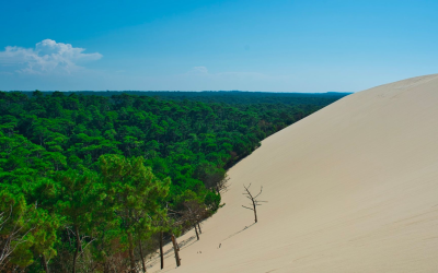 Explorez la dune du pilat, joyau naturel du bassin d’arcachon