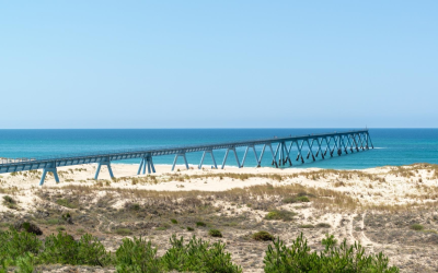 Émerveillement sur le bassin d’Arcachon entre plages et dunes