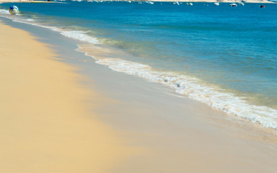 Découvrir les trésors naturels des plages du bassin d’Arcachon