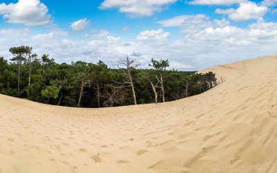 Plages idylliques du bassin d’arcachon entre dunes et criques secrètes