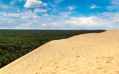 Dune du Pilat dévoile ses trésors entre sable et océan