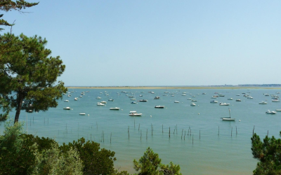 Évasion balnéaire au cœur du bassin d’arcachon et paradis marin