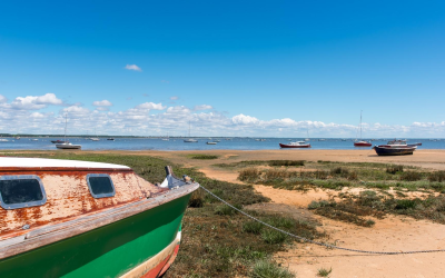 Secrets et merveilles du bassin d’Arcachon entre dunes et rivages