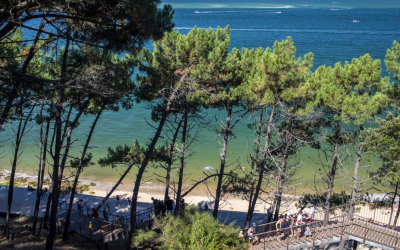 Plongez dans l’incroyable aventure de la dune du Pilat
