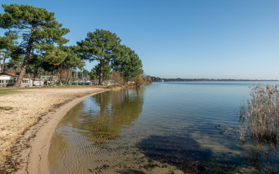 Découvrez les trésors cachés du bassin d’arcachon