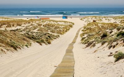 Évasion sur les plages secrètes et mythiques du bassin d’arcachon
