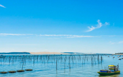Plages du bassin d’arcachon, trésor naturel entre dune et mer