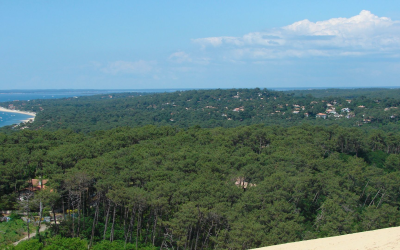 Découverte spectaculaire de la dune du Pilat et ses secrets
