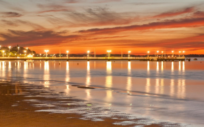 Découvrir le charme naturel des plages sauvages du bassin d’arcachon
