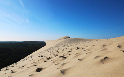 Guide complet pour découvrir la dune du pilat en famille